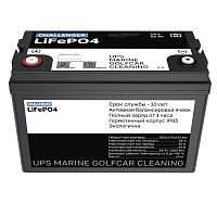 Литиевая батарея Challenger 24V 65Ah LFP